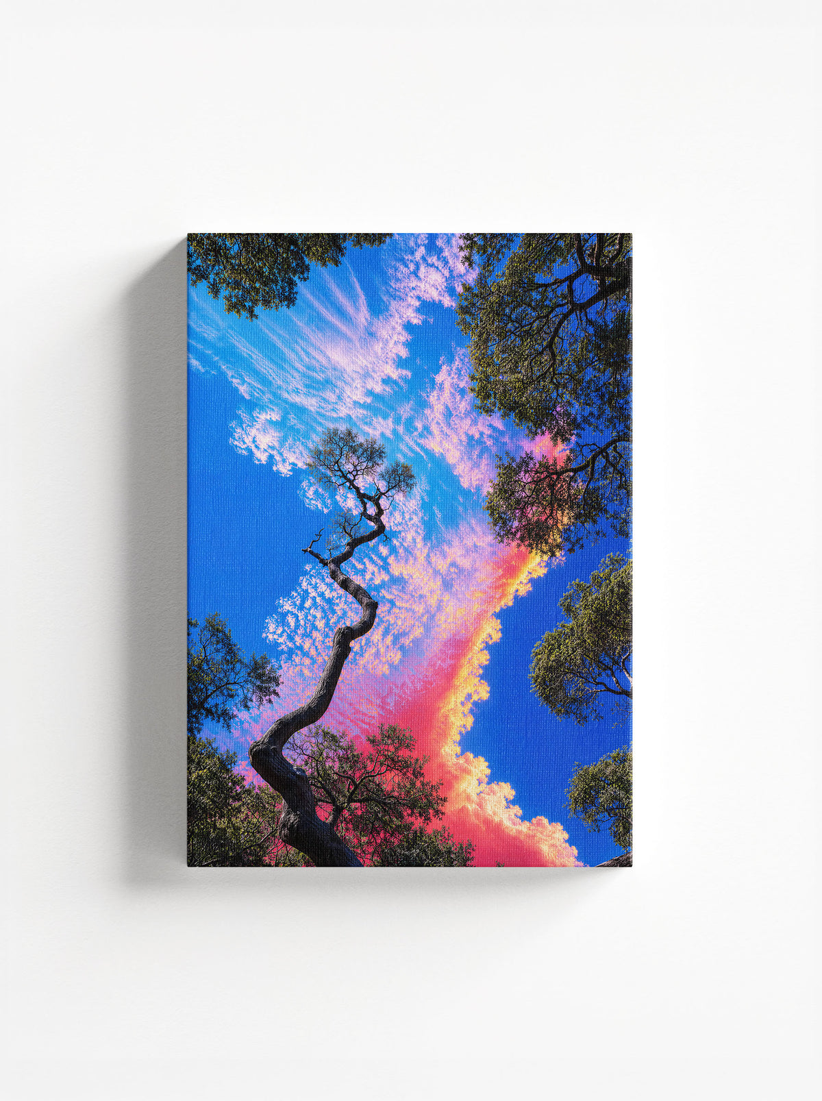 Sky in Motion
