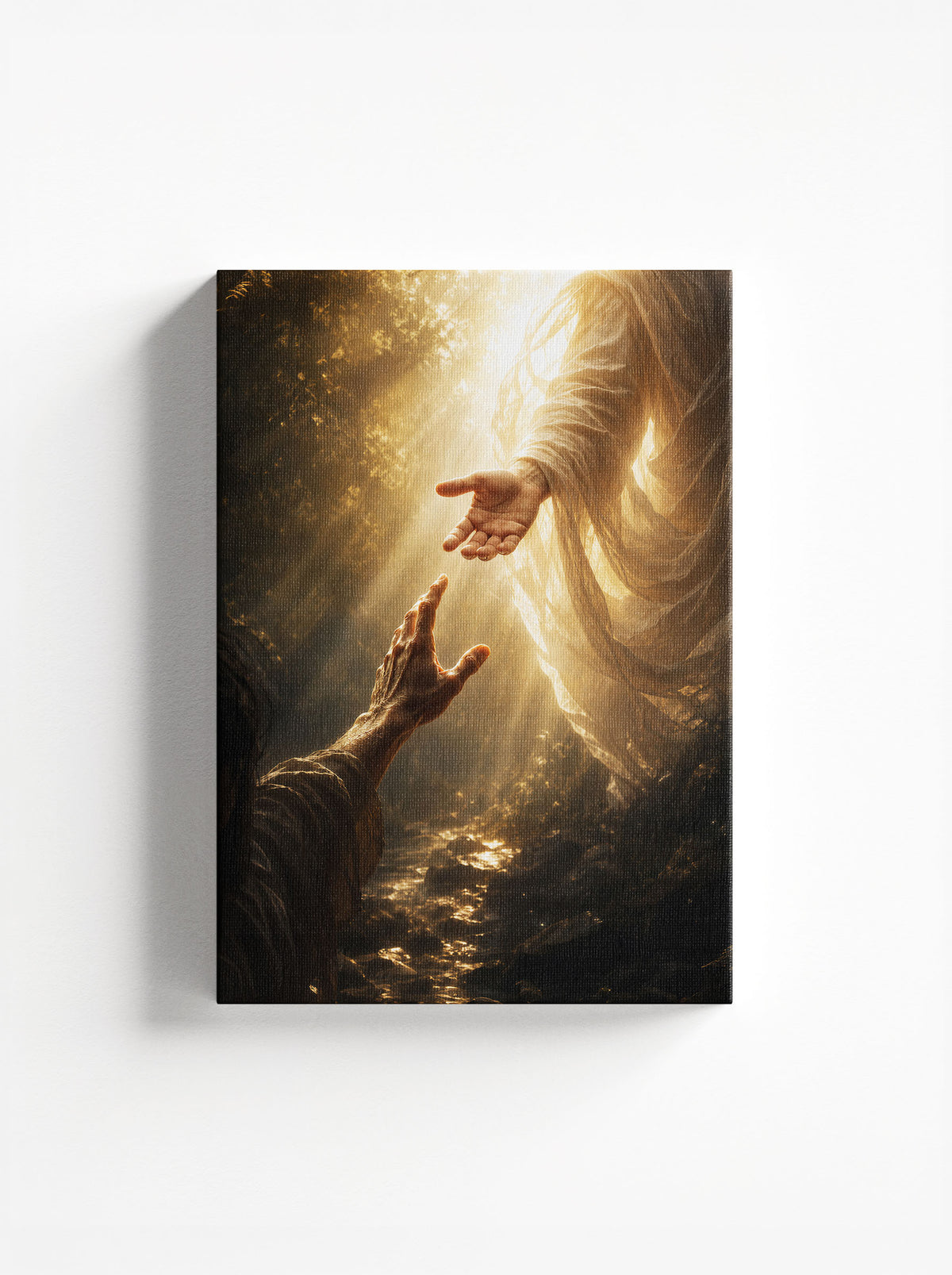 Reach for the Light