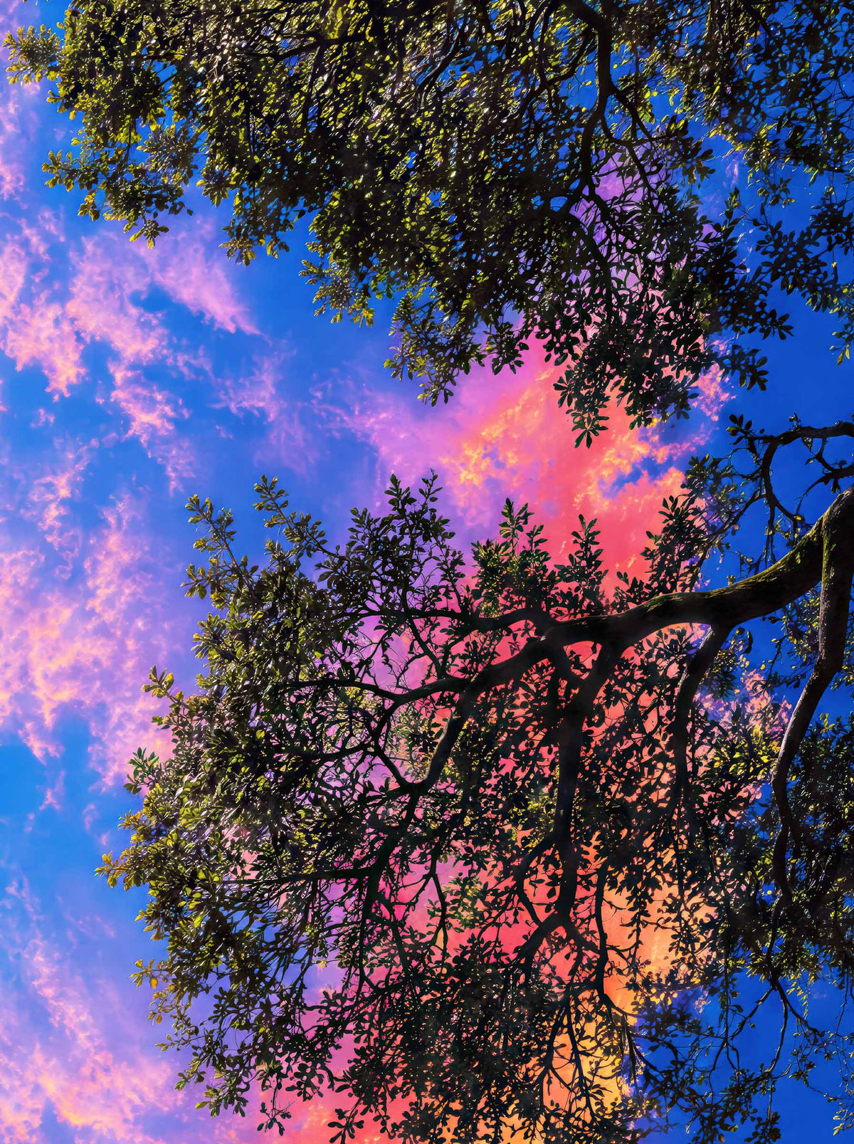 Sky in Motion