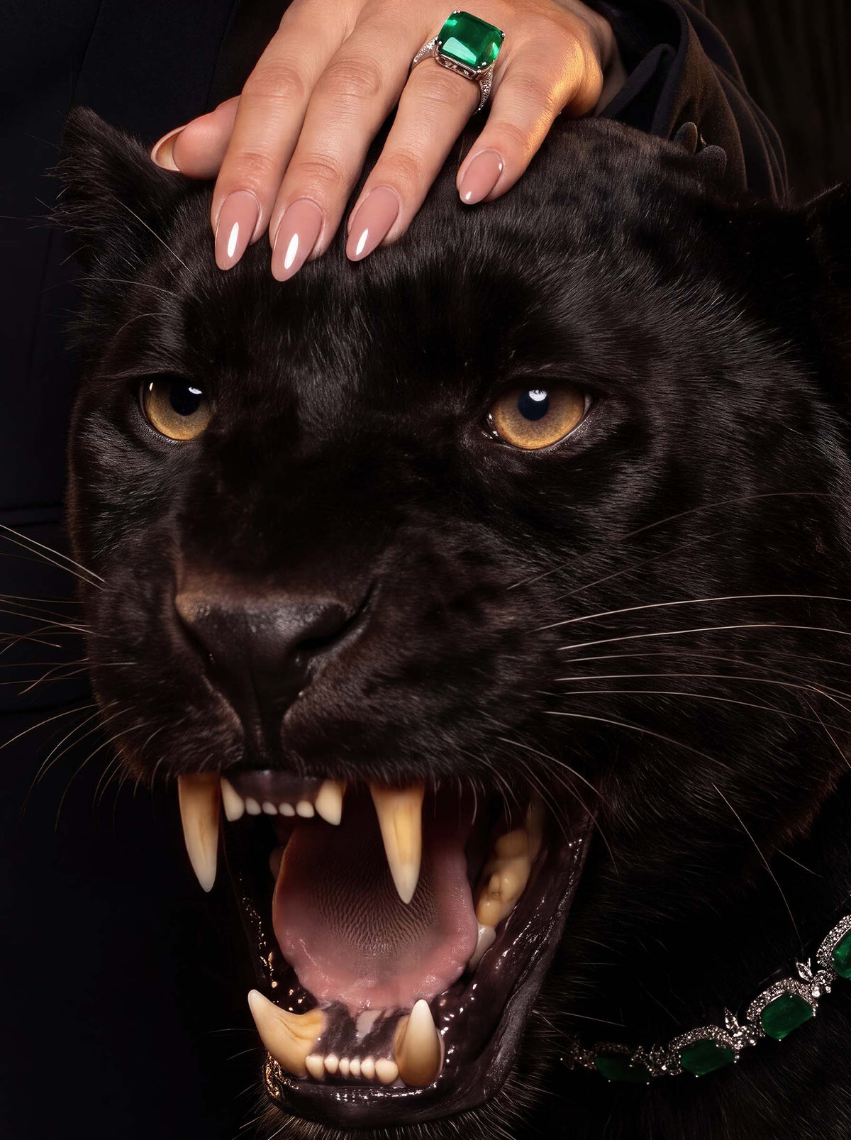Untamed
